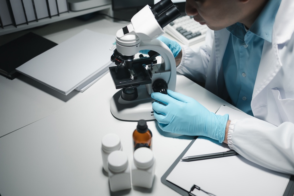 [ LV603PA-1] pPS-EF1-GFP-RFP (plasmid)   