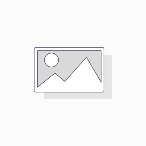 Laminin Beta 2 (LAMb2) Polyclonal Antibody