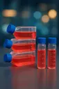 [iCell-m077] Mouse Cardiomyocytes (HL-1)