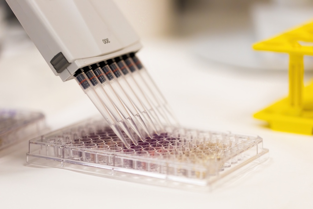 384-well NX PCR Plate, Black 50 plates