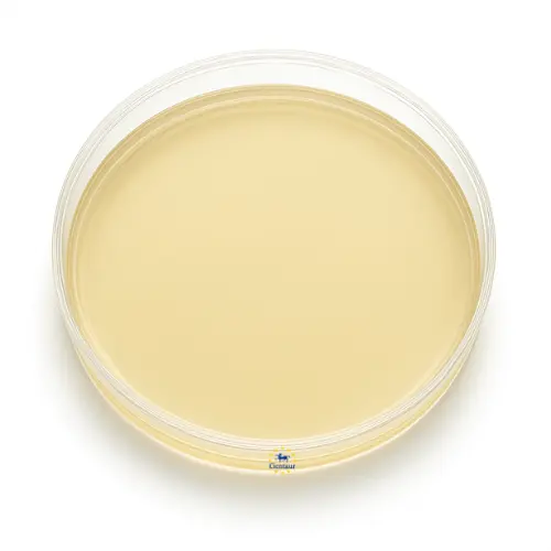 Lactose Broth